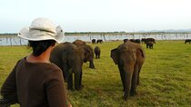 Essence of Sri Lanka 8 Day Tour with Gotrex Tours