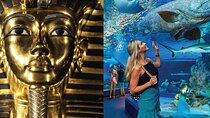 Tomb of the Pharaohs and Cairns Aquarium Combo