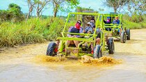 VIP Tour in Punta Cana ATV or Buggy by the Mud
