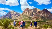 Shared Tour in Red Rock Canyon