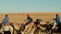 Agafay Desert Experience with Dinner from Marrakech
