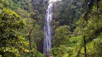 Day trip to materuni waterfalls and coffee tour from Moshi