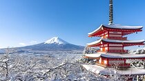 From Tokyo: Mount Fuji Sightseeing One Day Trip