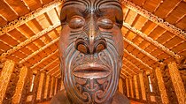 Waitangi Treaty Grounds Tour from Auckland