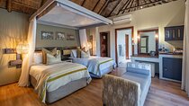 4-Day Pilanesberg Safari at Ivory Tree Game Lodge