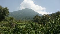 1 Day Mount Bisoke Hiking Adventure