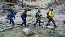 The Famous Narrows Trail in Zion National Park