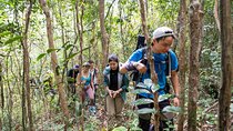 Suoi Tien 4-Hour Jungle Easy Trek and Spring Bath
