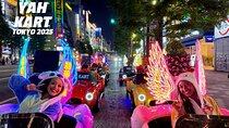 Tokyo:Akihabara Flash Go Kart Street Tour (including guide)