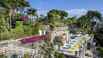 Relaxation Escape: Ischia Thermal Park Day Trip from Naples