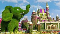 Dubai Miracle Garden Tour with Transportation