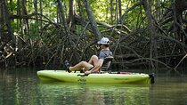 3-Hour Damas Mangrove Kayak Tour