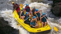 Rafting Adventure in Paraty, Thrill in Nature’s Waters