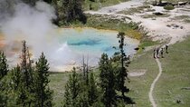 Yellowstone National Park Private Full Day Guided Hike