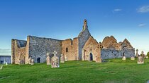 Clonmacnoise and Birr Castle Tour