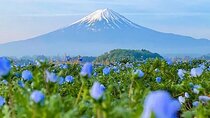 Mt Fuji Pilgrimage Full Day Tour with 7 Must See Scenic Spots