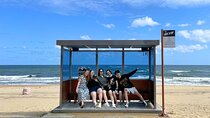 Gangneung Sightseeing Day Tour
