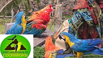 Cochahuasi Animal Sanctuary: Official VIP Tour Wild Experience