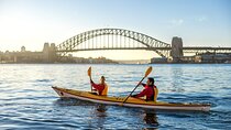 Beautiful Sydney Harbour Breakfast Kayaking Tour