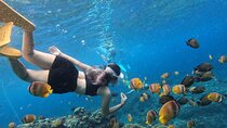  Bali Snorkeling at Blue Lagoon Beach with all Inclusive