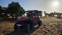 Buggy Safari Adventure from Agadir or Taghazout