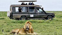 From Arusha: 3-Day Tarangire, Ngorongoro & Manyara Safari