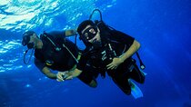 Marsa Mubarak Snorkeling Trip,2 intro dive & Transfer :Marsa Alam
