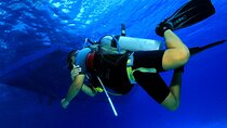 PADI Open Water Diver Course, Learn New Diving Skills :Marsa Alam
