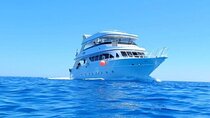 Beginner Scuba Diving Two Stops with Lunch Transfer / Marsa Alam