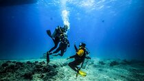 Hurghada: Intro Scuba Diving for Beginners, Lunch & Transfers