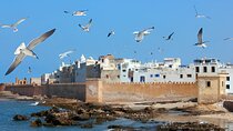Private Day Trip to Essaouira from Marrakech
