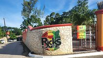 Private Tour to Negril with Ricks Cafe & Horseback Ride N Swim