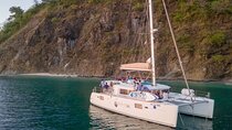 Luxury Catamaran: Open Bar & Snorkeling Adventure