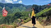 Cameron Highland Full Day Tour from KL City (Private)