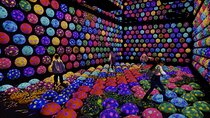 Skip the Line TeamLab Planets Ticket including Tokyo Hotel Pickup