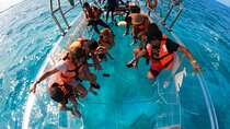 Clear Boat tour in Cancun 1.3 hours from the Cancun Hotel Zone 