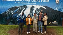 Mount Kilimanjaro Day Hike