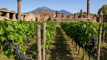 Private Pompeii Tour and Wine Tasting with Pickup from Naples