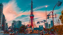 Tokyo Private Tour: Discover Culture, Cuisine & Landmarks