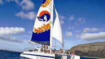 Kona Tradewind Catamaran Day Sail