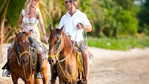 Beach Horseback Riding Adventure in Punta Cana
