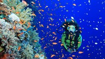 3 Days Open Water Diving Course with PADI & Transfer :Marsa Alam