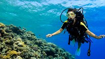 PADI Open Water Diving Course With transfer : Marsa Alam