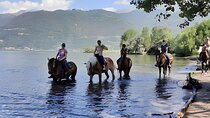 Horseback Riding Tour from Colico on Lake Como