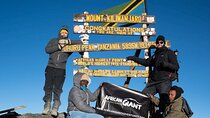 8-Day Lemosho Route Kilimanjaro Trekking Adventure