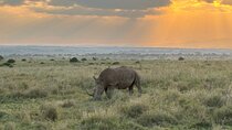 Nairobi National Park Game Drives and Giraffe Centre