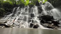 Best Of Hidden Waterfall And Ubud Private Tours