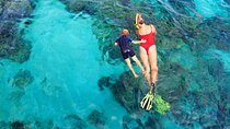 Coral Garden Snorkeling Excursion + Lunch & Transfer / Marsa Alam