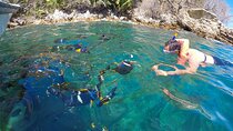 Bay Tour and Snorkeling