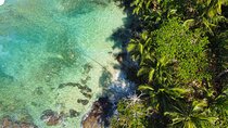Private Caribbean Tour: Puerto Viejo & Manzanillo from San José